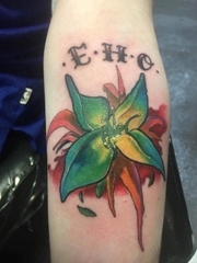 手臂上彩色渐变小清新植物纹身图片