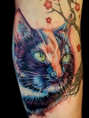 彩色的各种风格猫纹身动物图案纹身