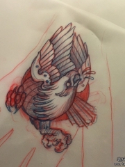 old school老鹰纹身图案手稿