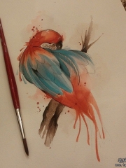 欧美泼墨小清新鹦鹉纹身图案手稿