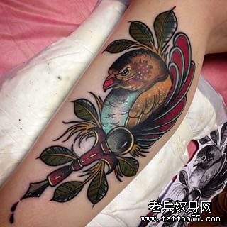 大臂school鸟彩色纹身图案