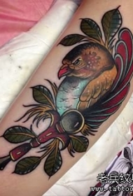 大臂school鸟彩色纹身图案