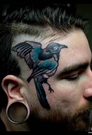脸部欧美school鸟纹身图案