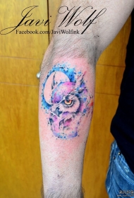 小臂欧美猫头鹰彩色泼墨纹身图案