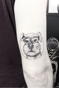 大臂狗小清新纹身图案