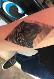 手臂黑白灰风格点刺技巧几何元素山水风景图片