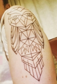 手臂黑白灰风格几何元素简单个性线条猫头鹰纹身图片