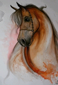 欧美马彩色纹身图案手稿