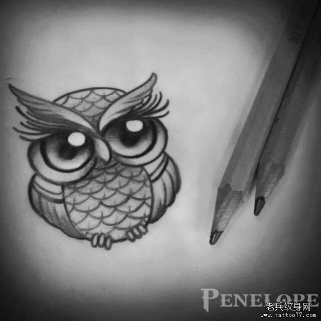 欧美可爱卡通猫头鹰纹身图案手稿
