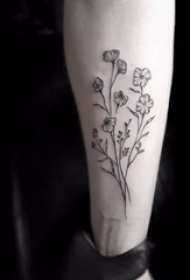 一组女生黑白纹身点刺技巧简约线条纹身植物纹身素材花朵纹身图案