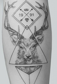 一组黑白灰风格关于植物和动物的个性纹身图案