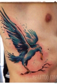 侧腰泼墨彩色的鸟纹身图案