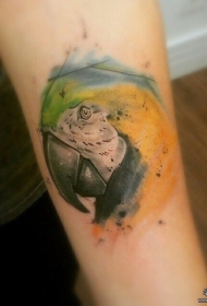 小臂泼墨鹦鹉头像纹身图案