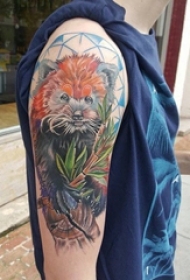 手臂上彩绘技巧几何元素植物素材和小动物纹身图片