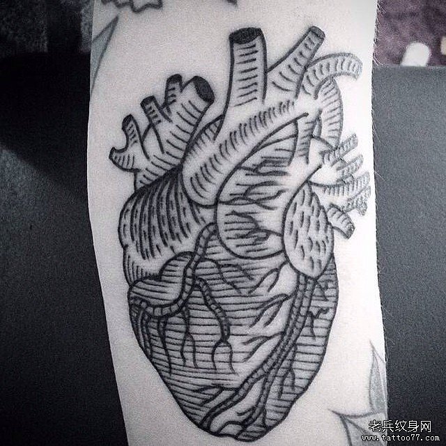 小臂心脏线条黑色纹身图案