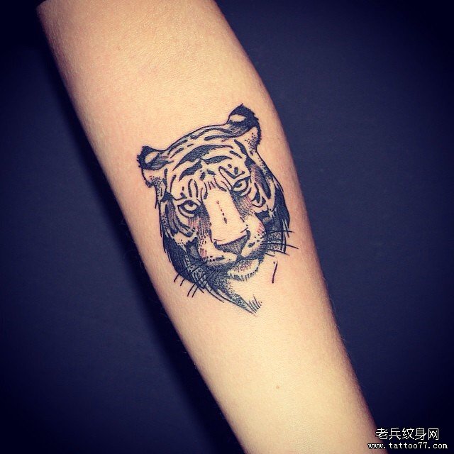 小臂黑灰欧美点刺老虎纹身图案