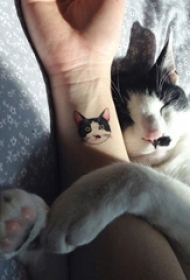 女生个性黑白简约线条小动物猫咪纹身图案