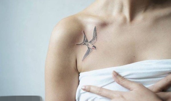 黑白素描技巧动物小鸟小燕子纹身图案