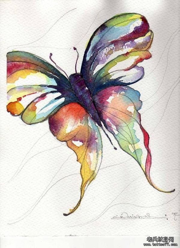欧美蝴蝶泼墨纹身图案手稿