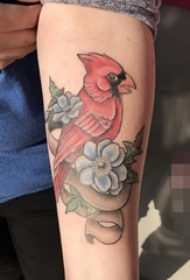 女生手臂上彩色动物小鸟纹身图片