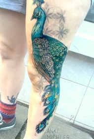 腿部插画风格彩色大孔雀纹身图案