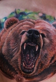 男性胸部彩色熊头纹身图案