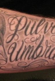 手臂华丽的英文字母和羽毛骷髅纹身图案