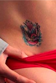 腹部五颜六色的飞行鸟纹身图案