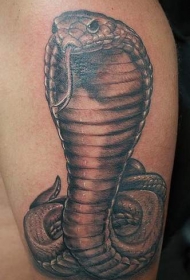 手臂写实眼镜蛇纹身图案