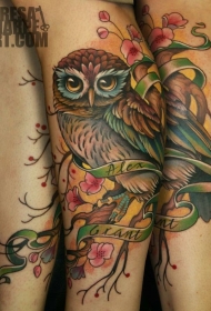 漂亮的彩色猫头鹰花朵字母纹身图案