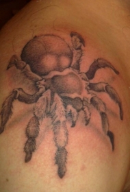肩部灰色逼真的大蜘蛛纹身图案