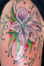 肩部彩色东方百合花纹身图片