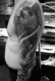 手臂逼真写实风格壮观的鹰纹身图案