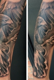 写实的精致黑白老鹰手臂纹身图案