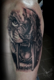 大臂写实风格半猫半骷髅纹身图案