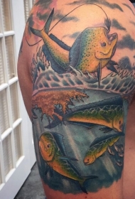 肩部令人印象深刻的彩绘独特的钩鱼纹身
