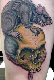 大腿彩色的老鼠和骷髅纹身图案