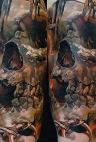 肩部全新风格的彩色人类头骨纹身图案