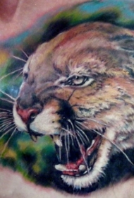 写实逼真的彩色豹子头纹身图案
