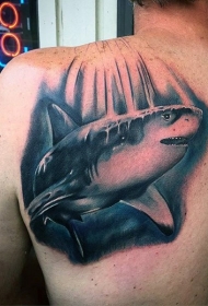 背部彩色写实风格的鲨鱼纹身图案