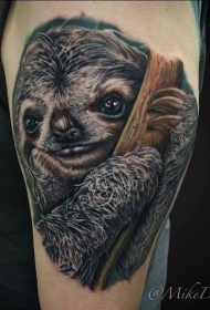 大臂写实风格彩色树懒纹身图案