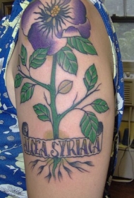 肩部彩色木槿植物纹身图案