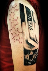 PS图象处理软件风格的彩色骷髅纹身