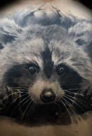 背部黑白小浣熊的纹身图案