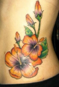 腰部彩色橙色的芙蓉花纹身图案