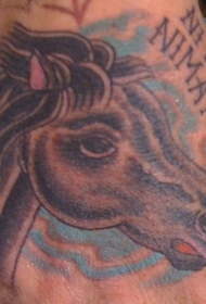 马头经典纹身图案