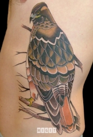侧肋new school彩色的鹰纹身图案