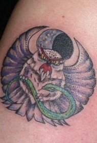 手臂彩色猫头鹰猎蛇纹身图案