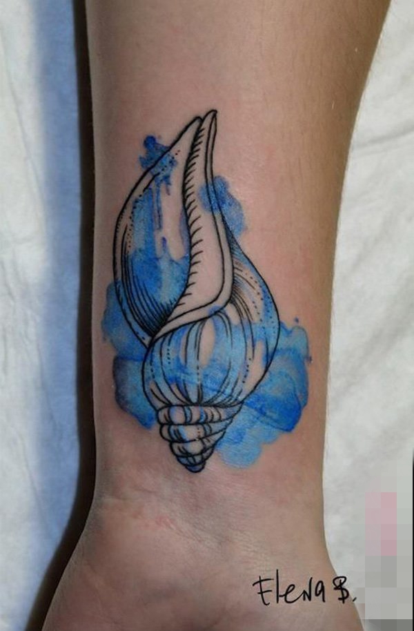 一组关于贝壳的彩绘简约线条文艺小清新纹身图案