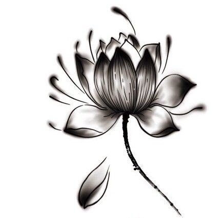 黑色素描创意个性水墨唯美莲花纹身手稿